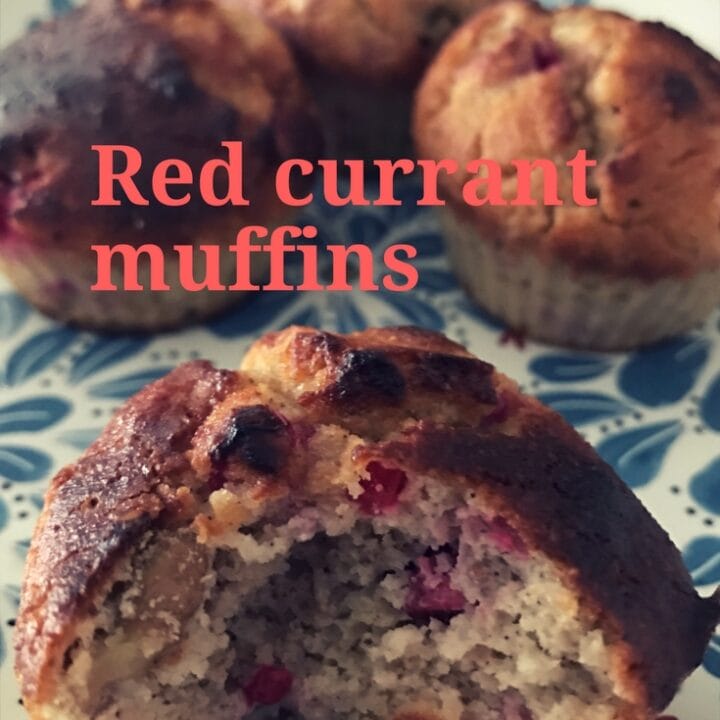 Image of red currant muffins