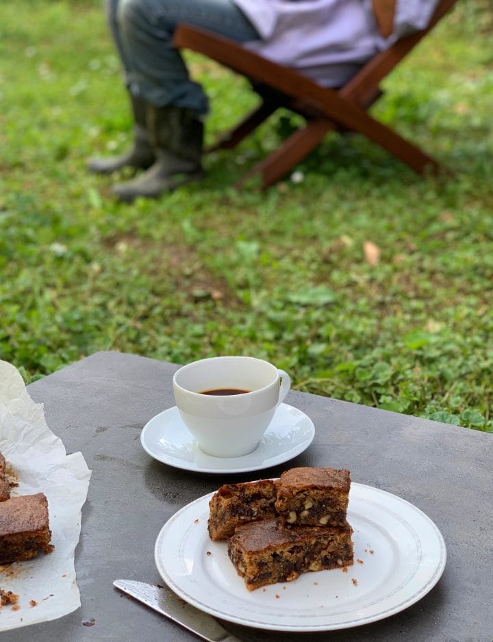 Picture of keto blondies on a garden table