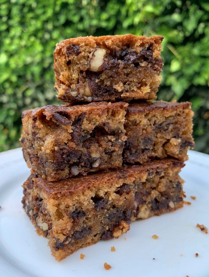 Picture of keto blondies cakes in the garden