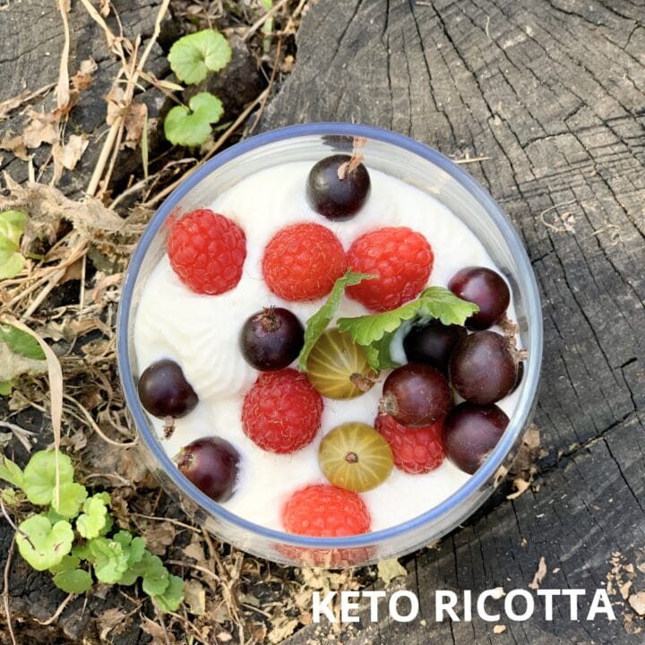 Picture of keto ricotta pudding with berries on top