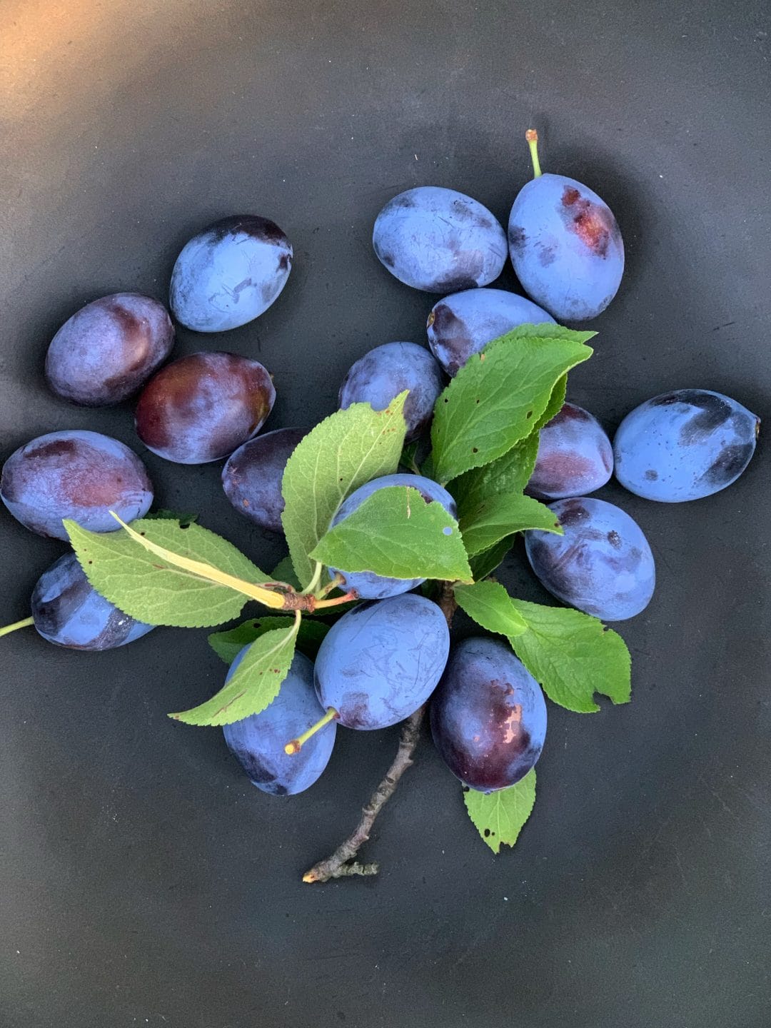 Picture of fresh plums