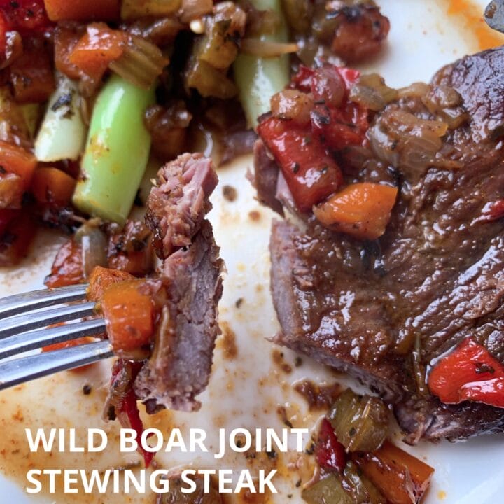 Picture of tender and juicy wild hog steak in vegetable stew