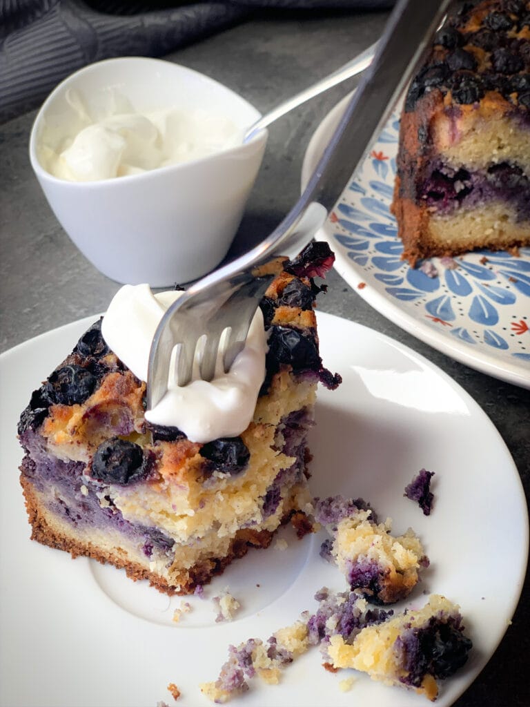 Keto blueberry pie - Family on Keto