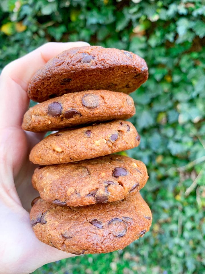 Picture of low carb peanut butter cookies with chocolate chip