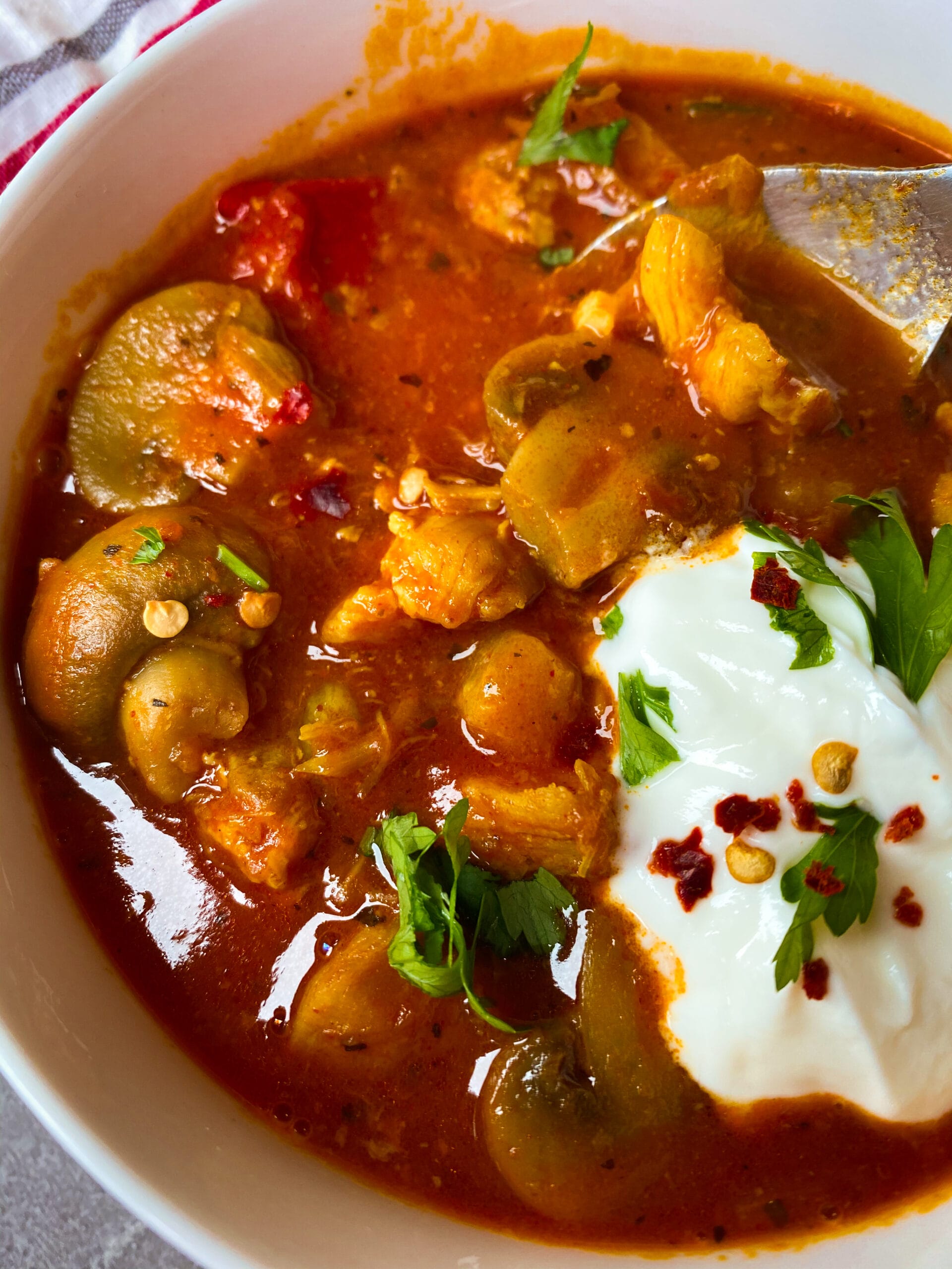 Picture of LCHF stew with chicken and veggies