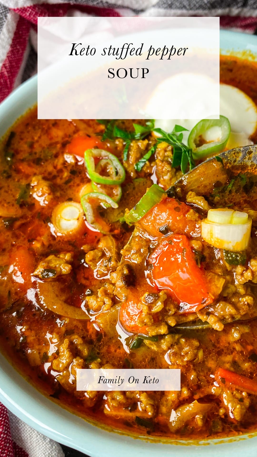 Photo of a bowl of keto stuffed pepper soup