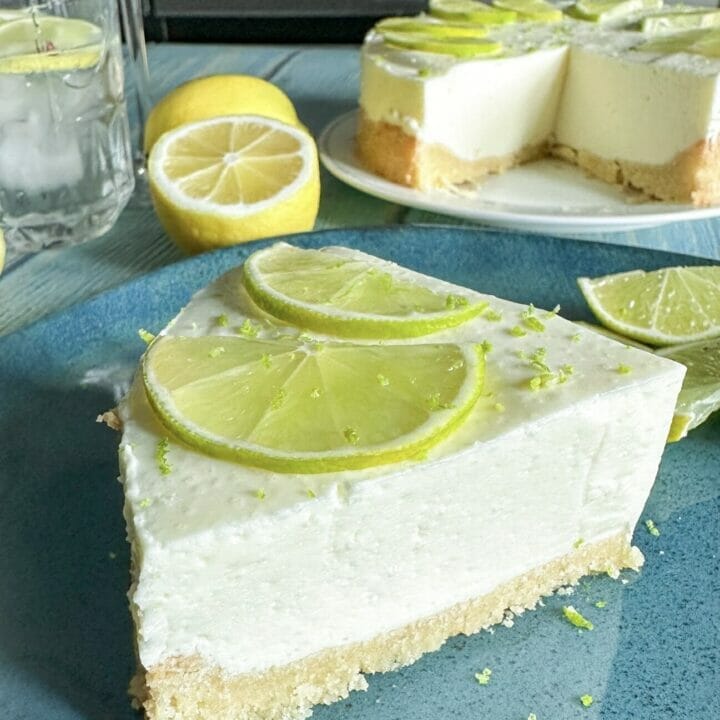 Slice of sugar-free gin & tonic cheesecake