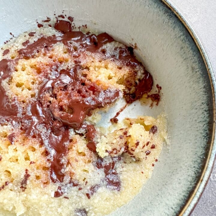 Picture of keto chocolate chip mug cake