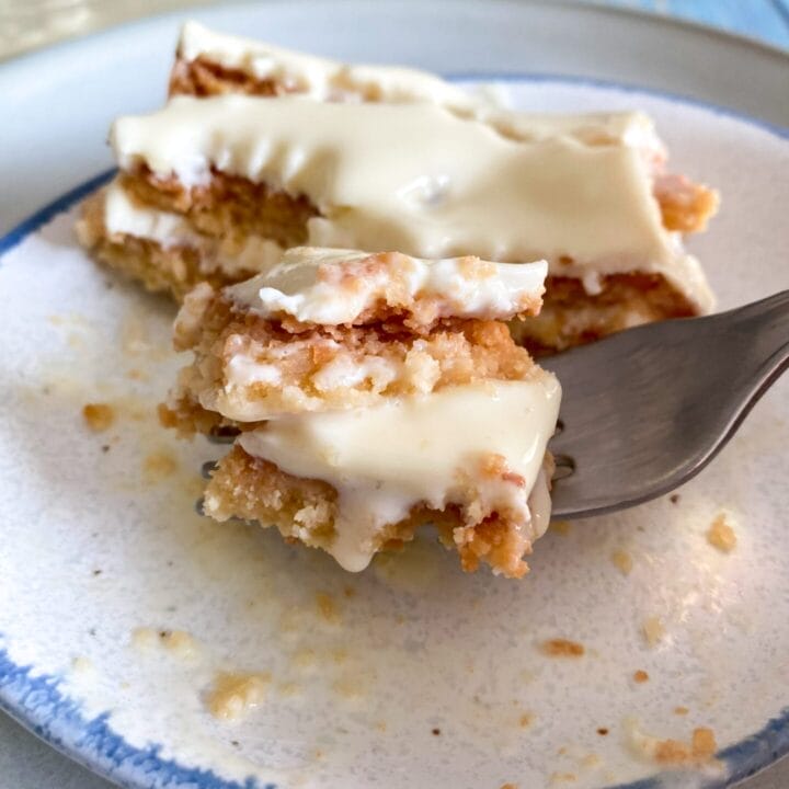 Picture of a plate with 2 slices of keto white chocolate protein melting bars